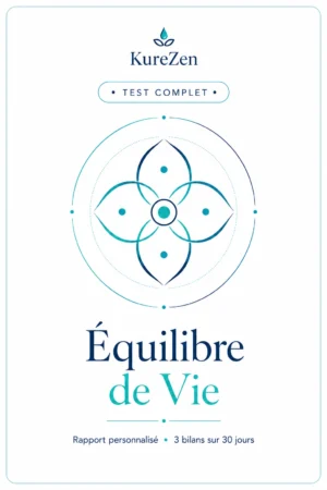 Test complet Équilibre de Vie KureZen pour analyser l’harmonie entre les différentes sphères de sa vie